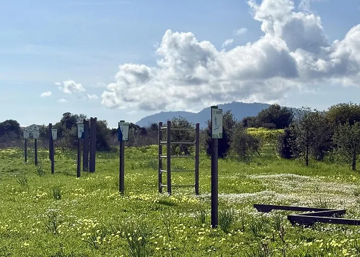 - Via Delle Rose Pula